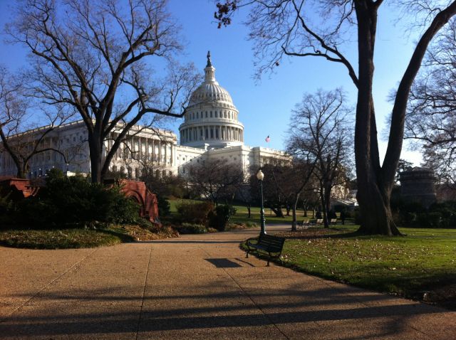 A beautiful view of the Capitol Building from the lawn